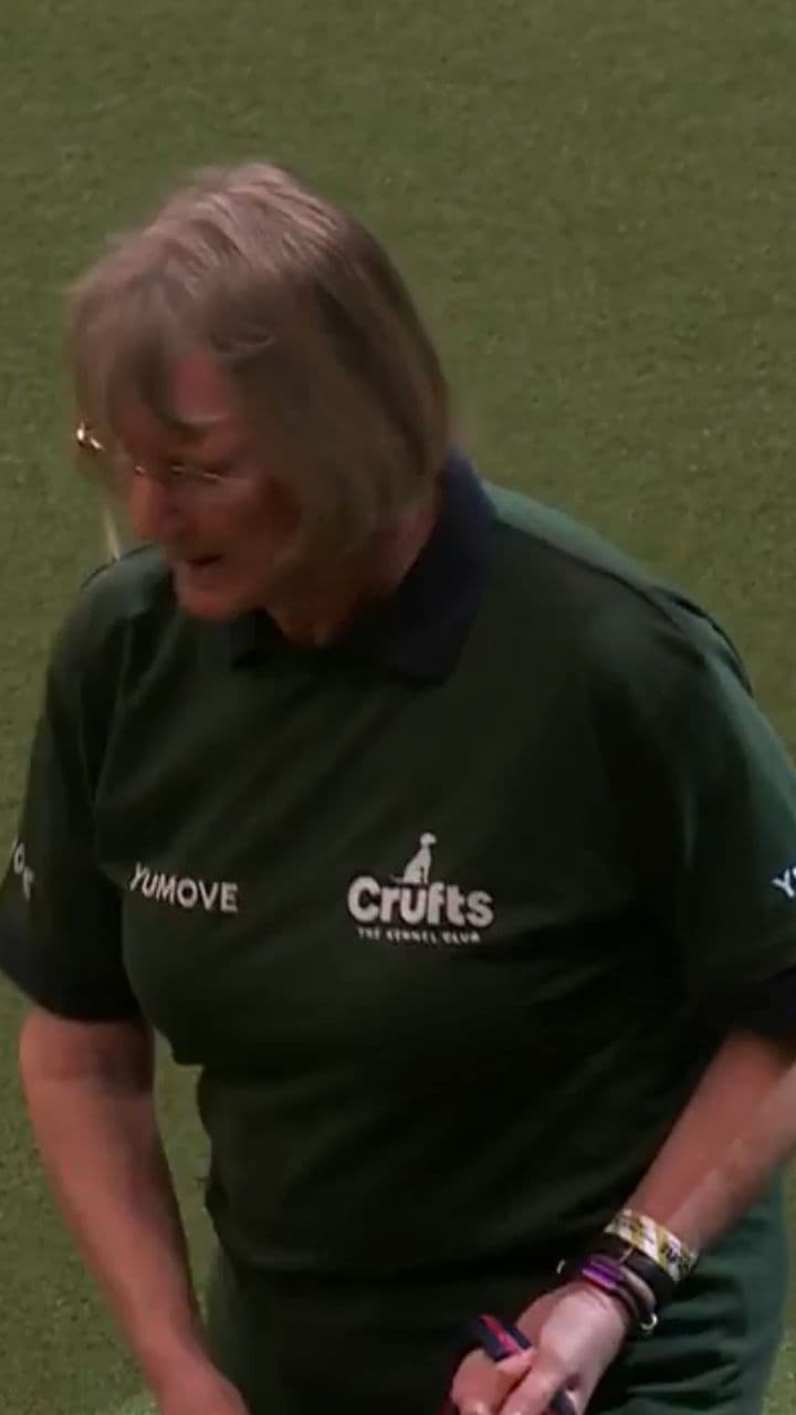 Promise the Labrador's Flawless Opening Run