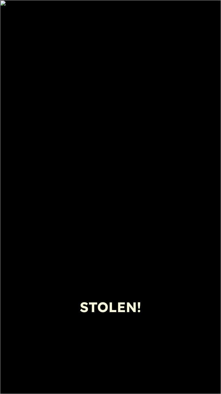 Monkey Steals Woman's Bag!