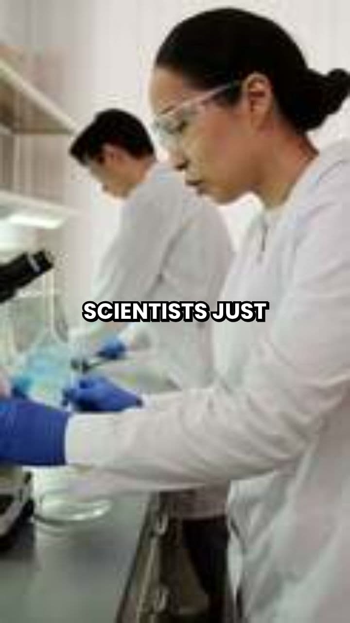 Bacteria Found in Fish Brains Challenge Brain Sterility