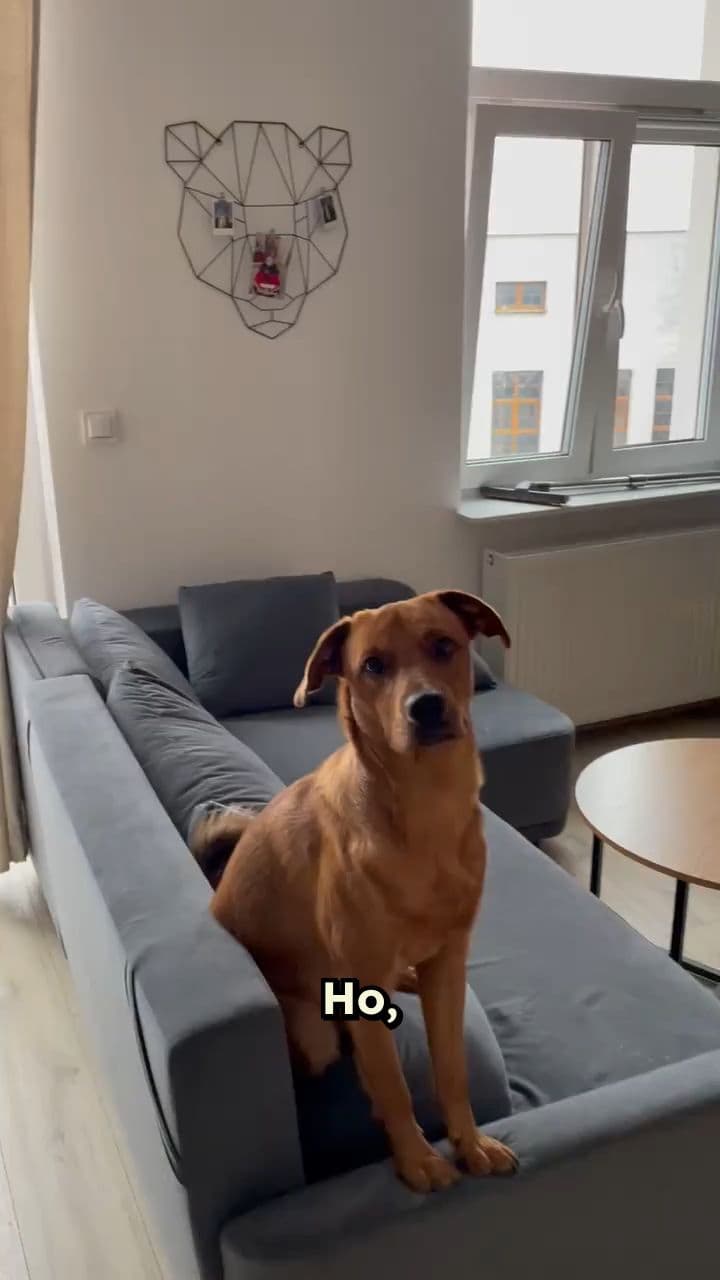 Mikołaj Grający w Tibię