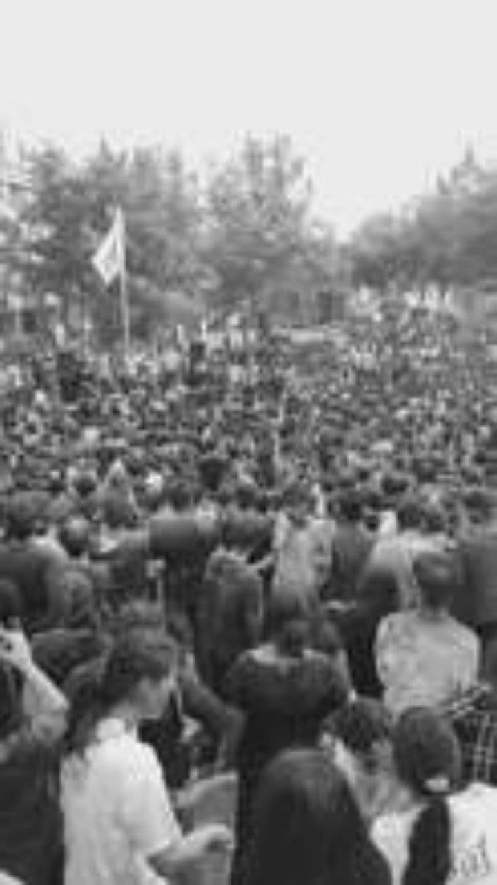 Buon Compleanno Yunes, Fratello Vero