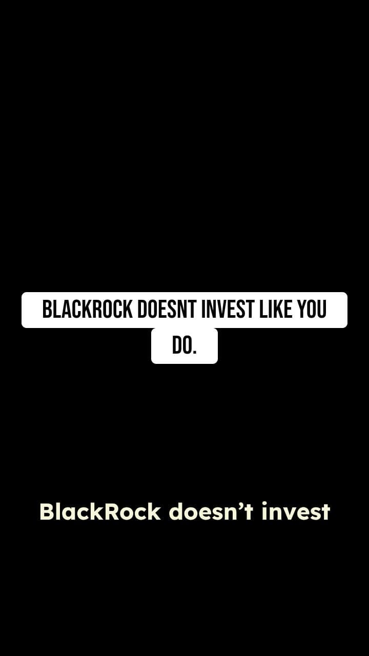 BlackRock: The Different Game