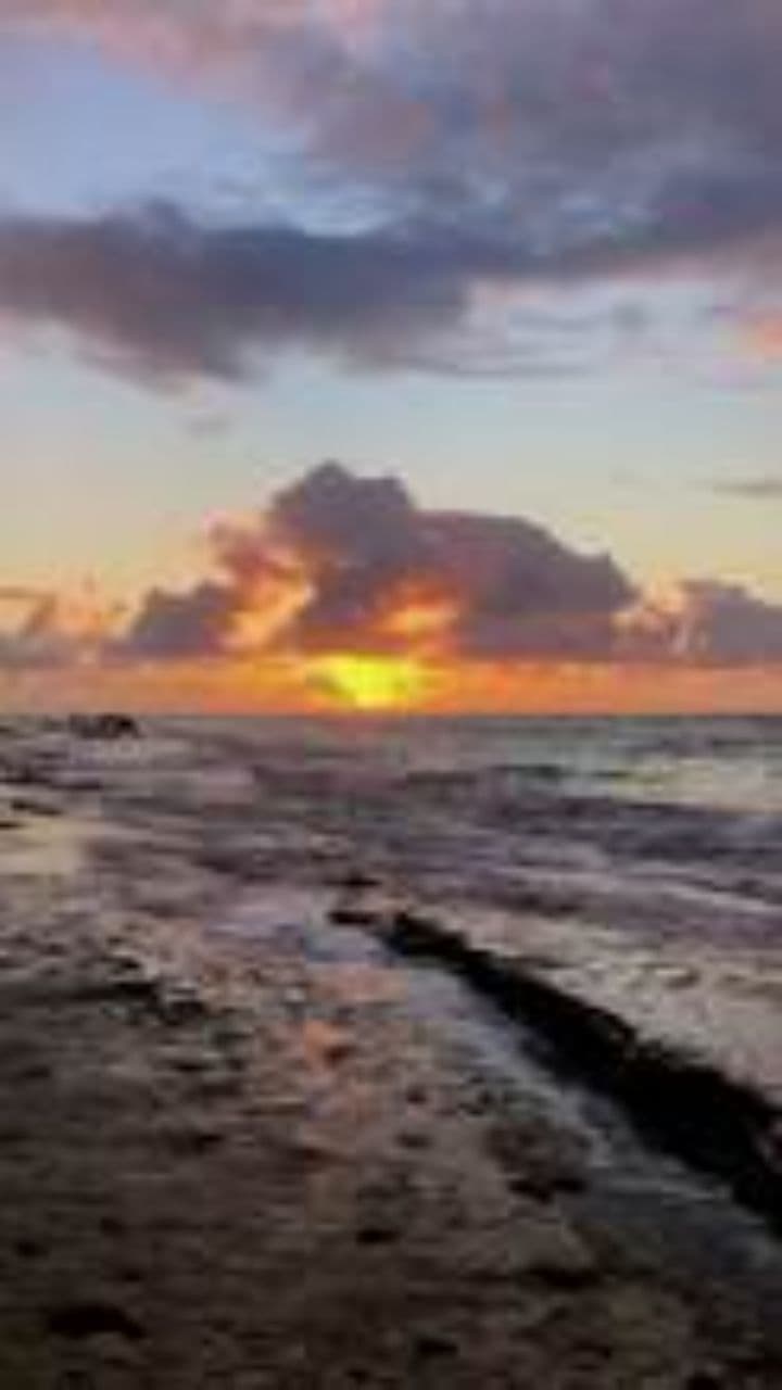 Cultiver la paix et la sagesse