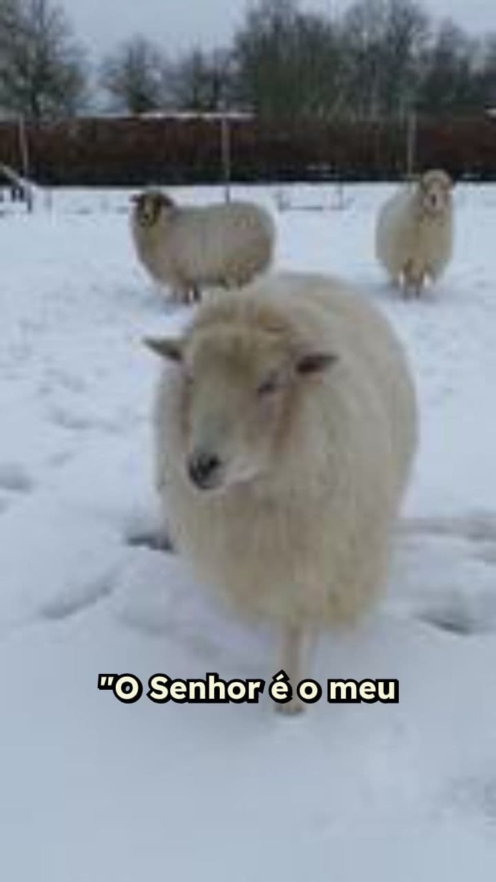 O Senhor é meu Pastor