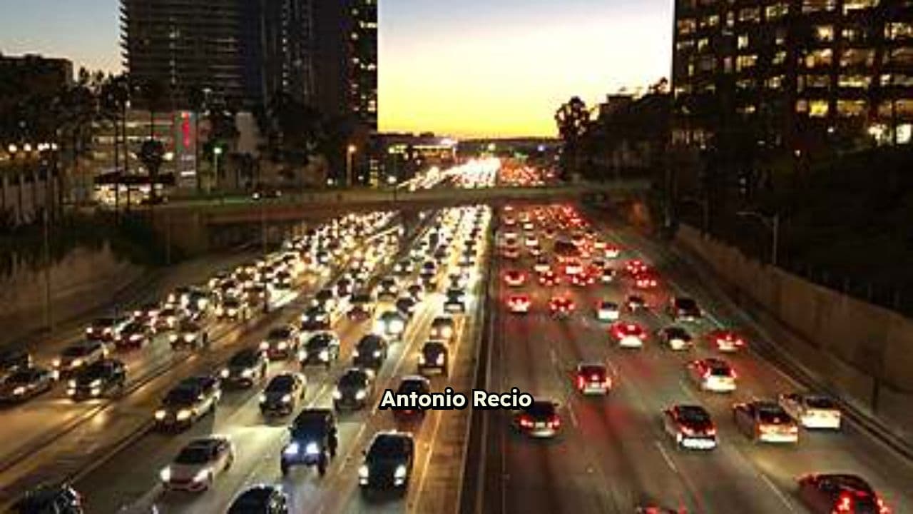 Mayorista de Pescados con Éxito Comercial