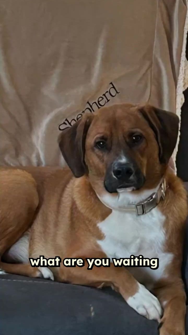 Join Super Chill Paddle n Plunge!