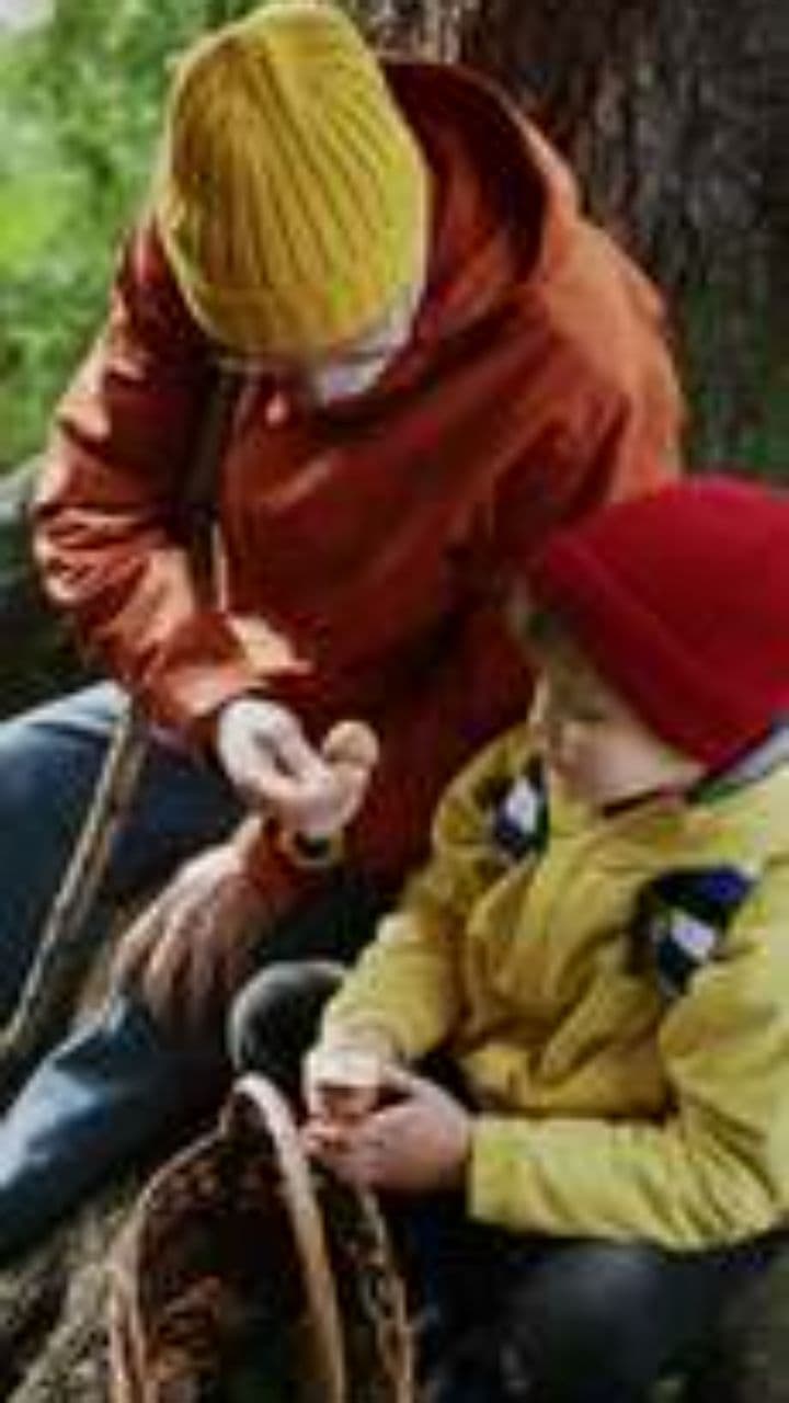 Mushroom Hunting Mishap