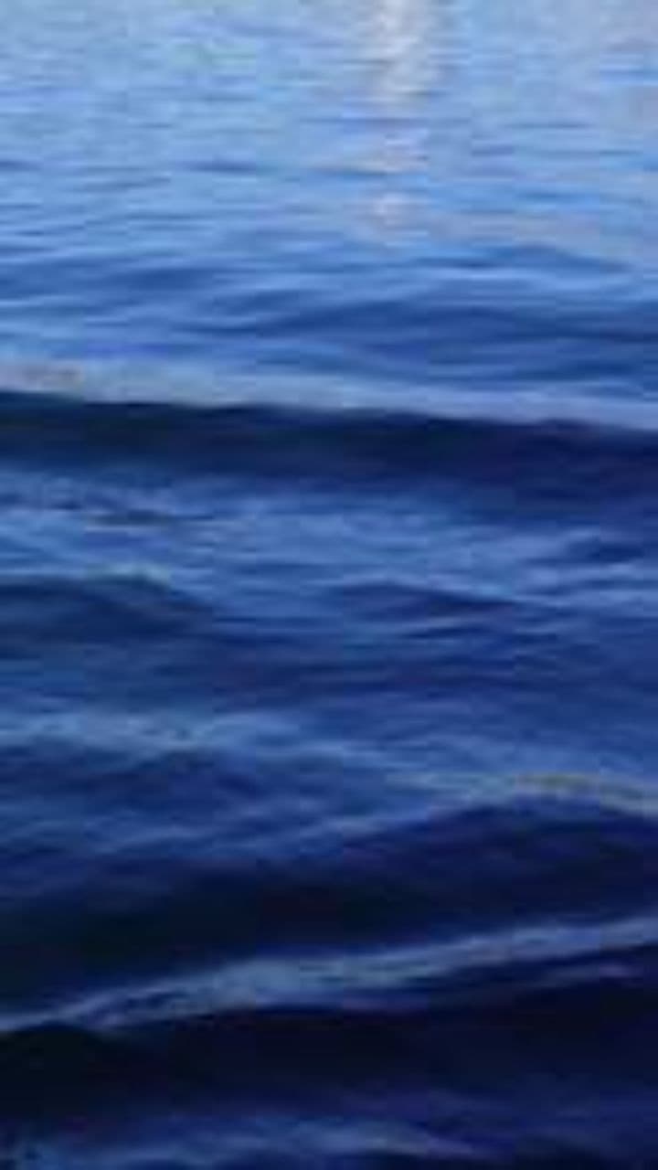 A Deep Ocean In Your Eyes