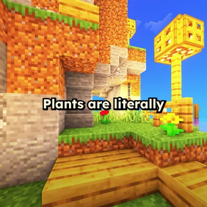 The Roles in an Ecosystem