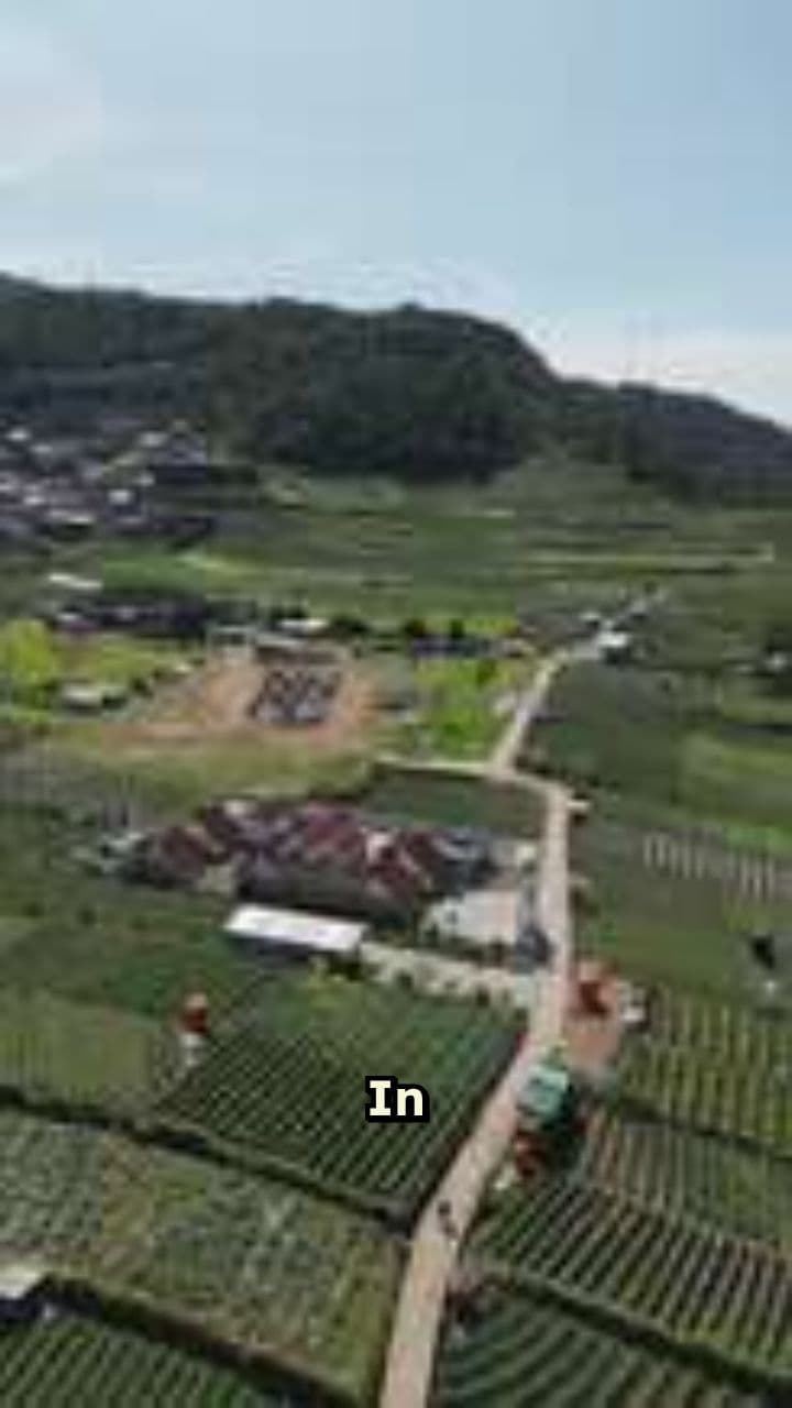 The Katko vs Briney Case: Property Law and Human Life