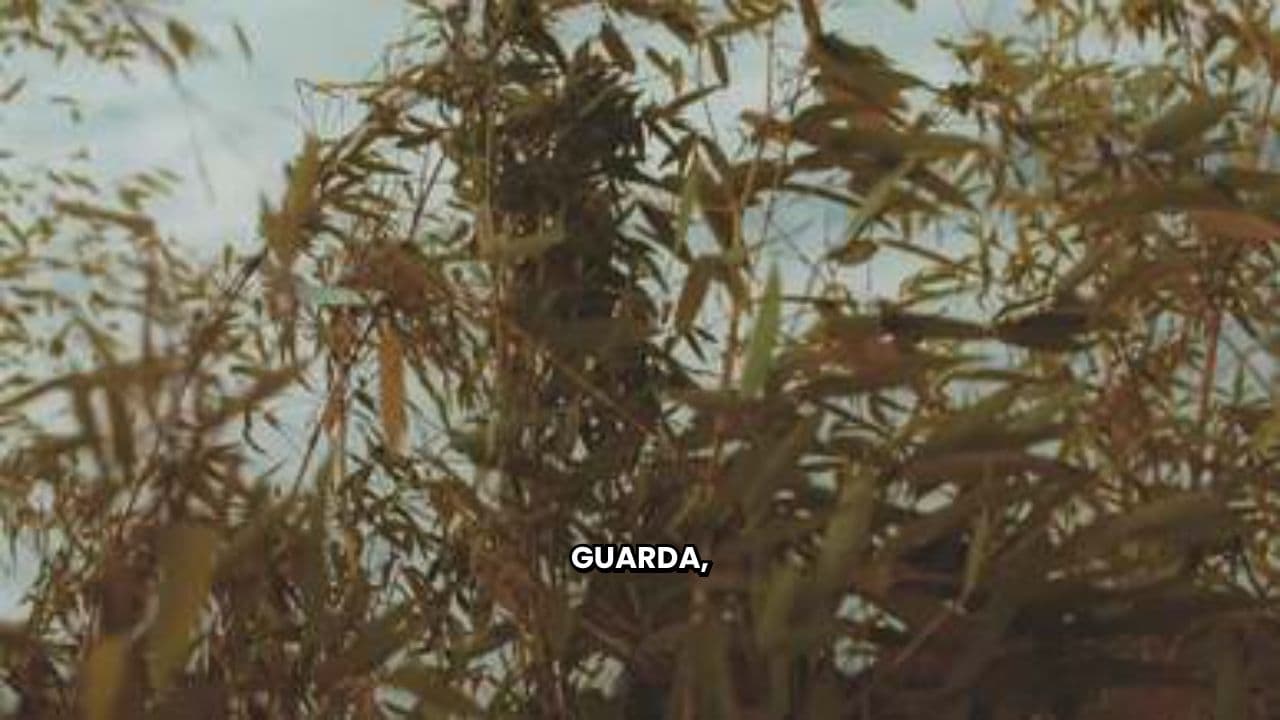 Calamaro Caramellato e il Frigo di Bambù