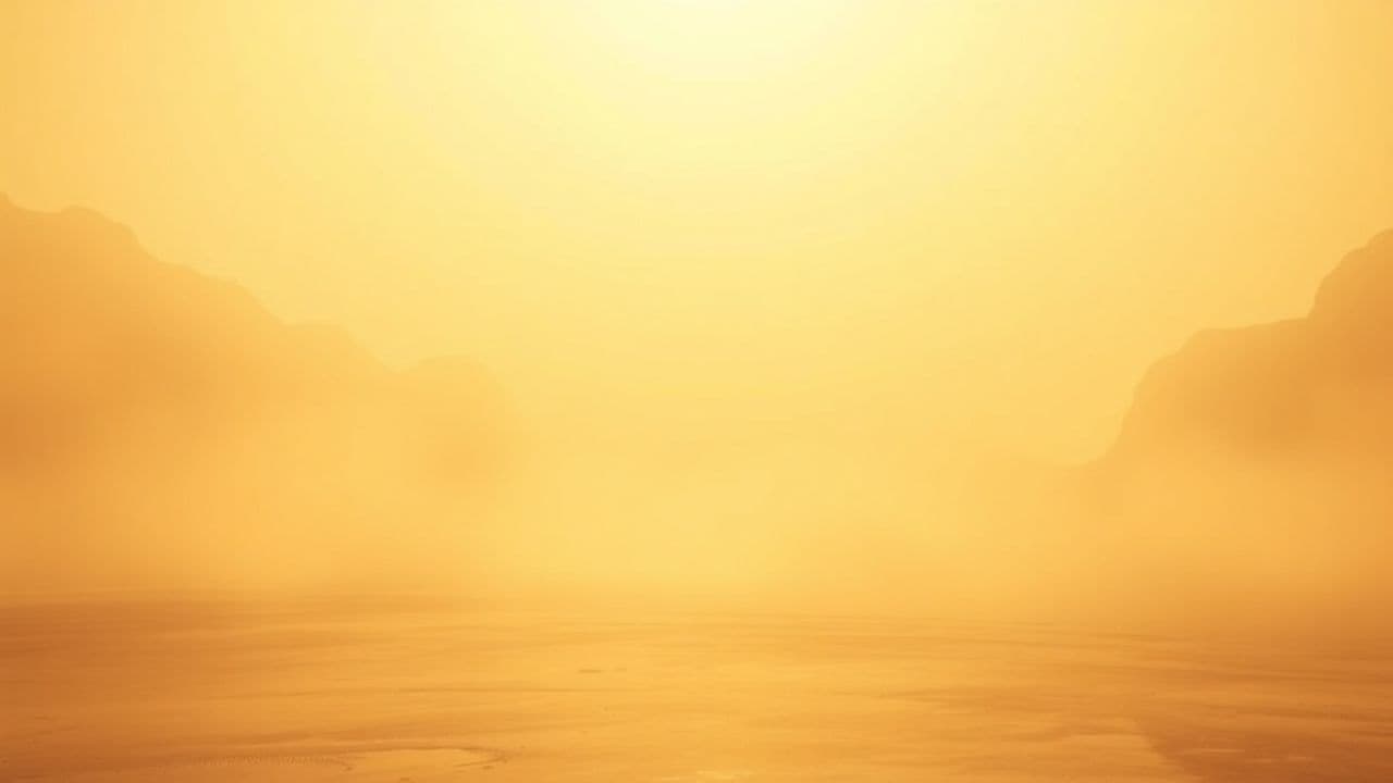 Kaybolmuş Yollar ve Çiçekler