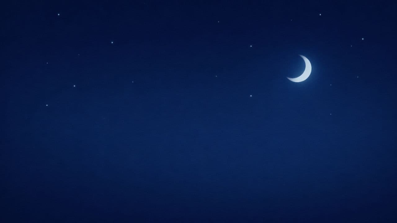 Stillness in Reverie