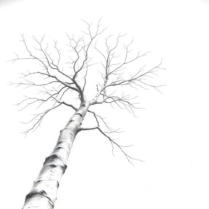 Guardían de la Esperanza