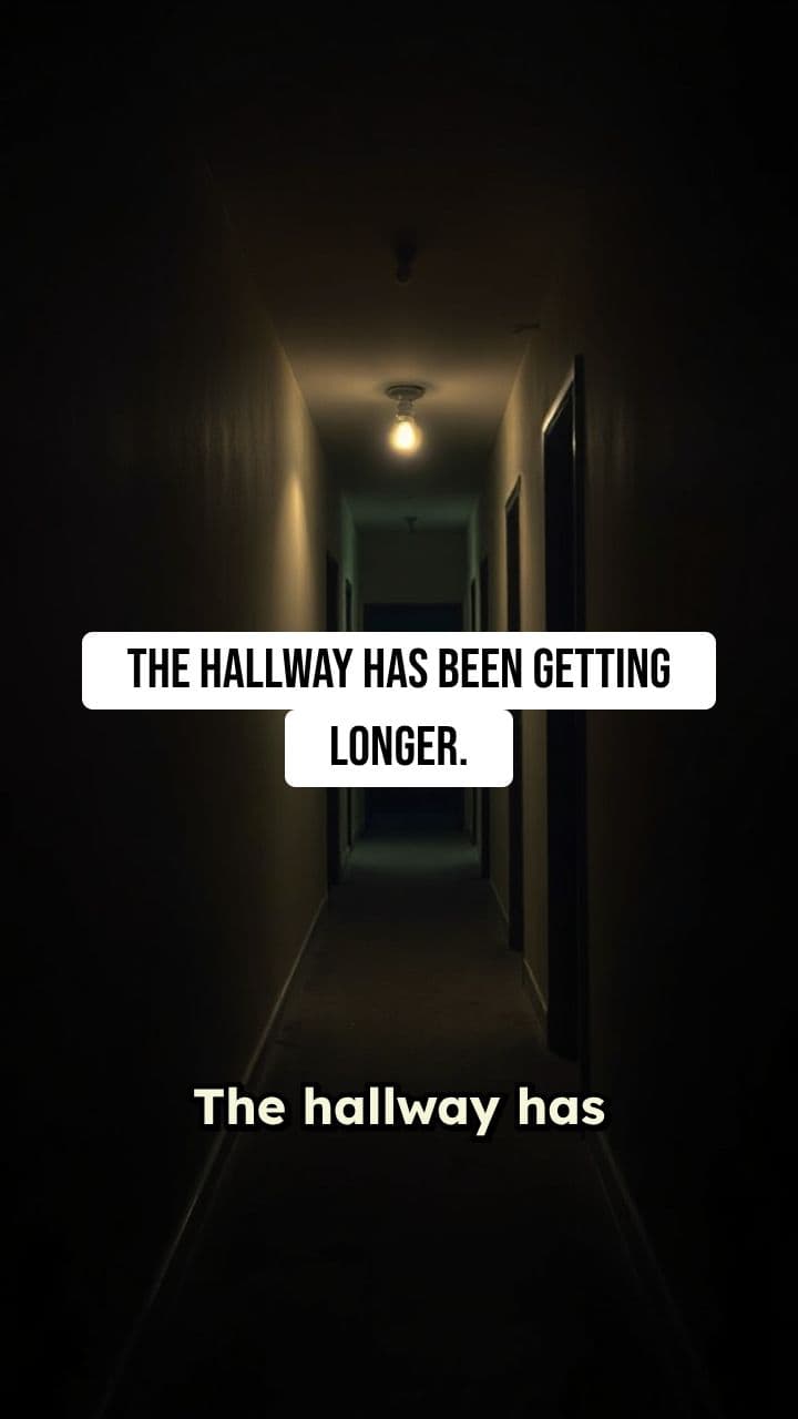 The Hallway