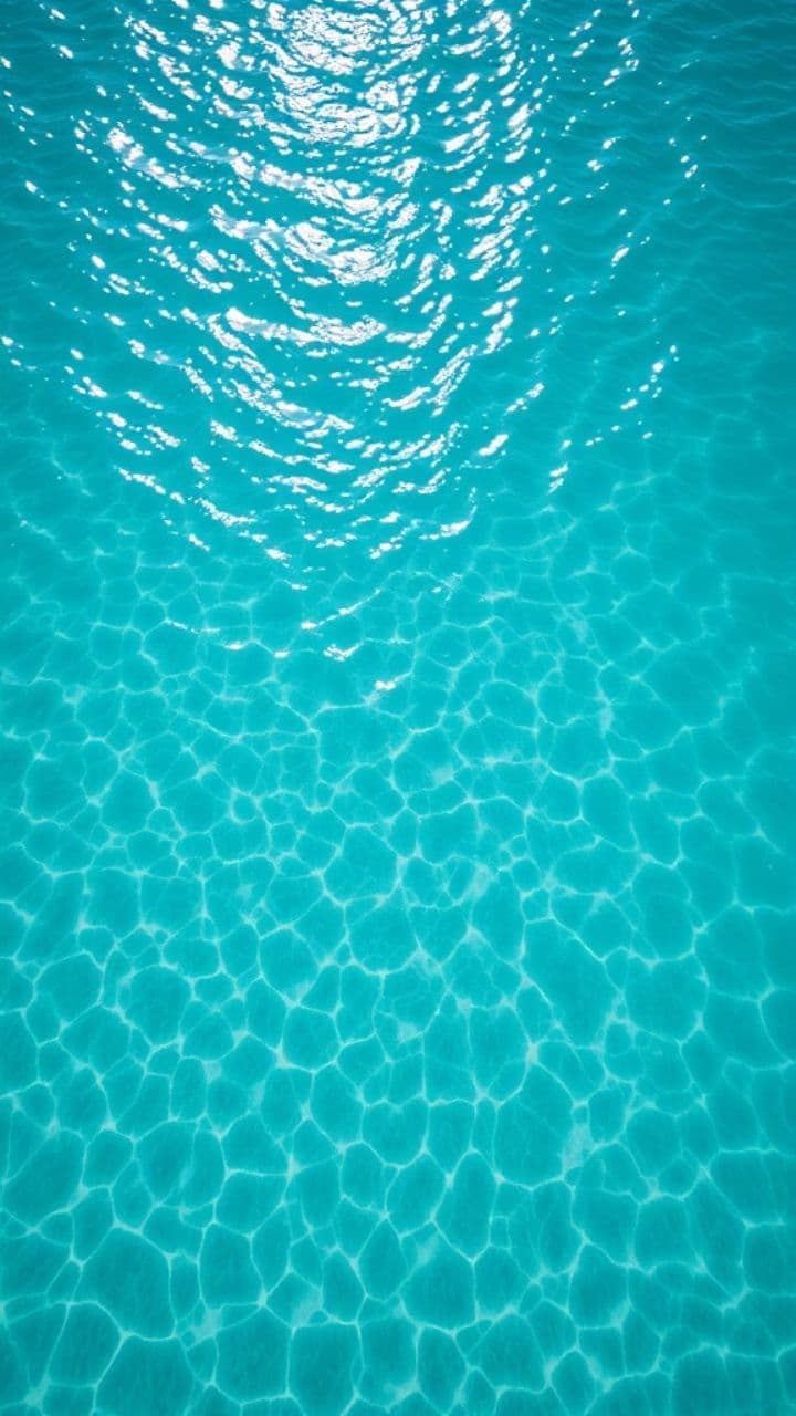 Fehmarn – Die Insel meiner Träume