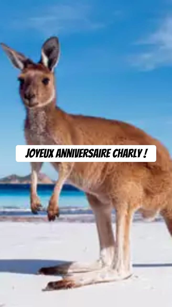 Joyeux Anniversaire Charly avec le Kangourou
