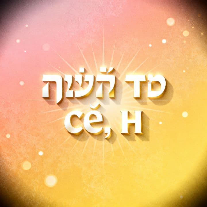 ויהיה טוב, כן
