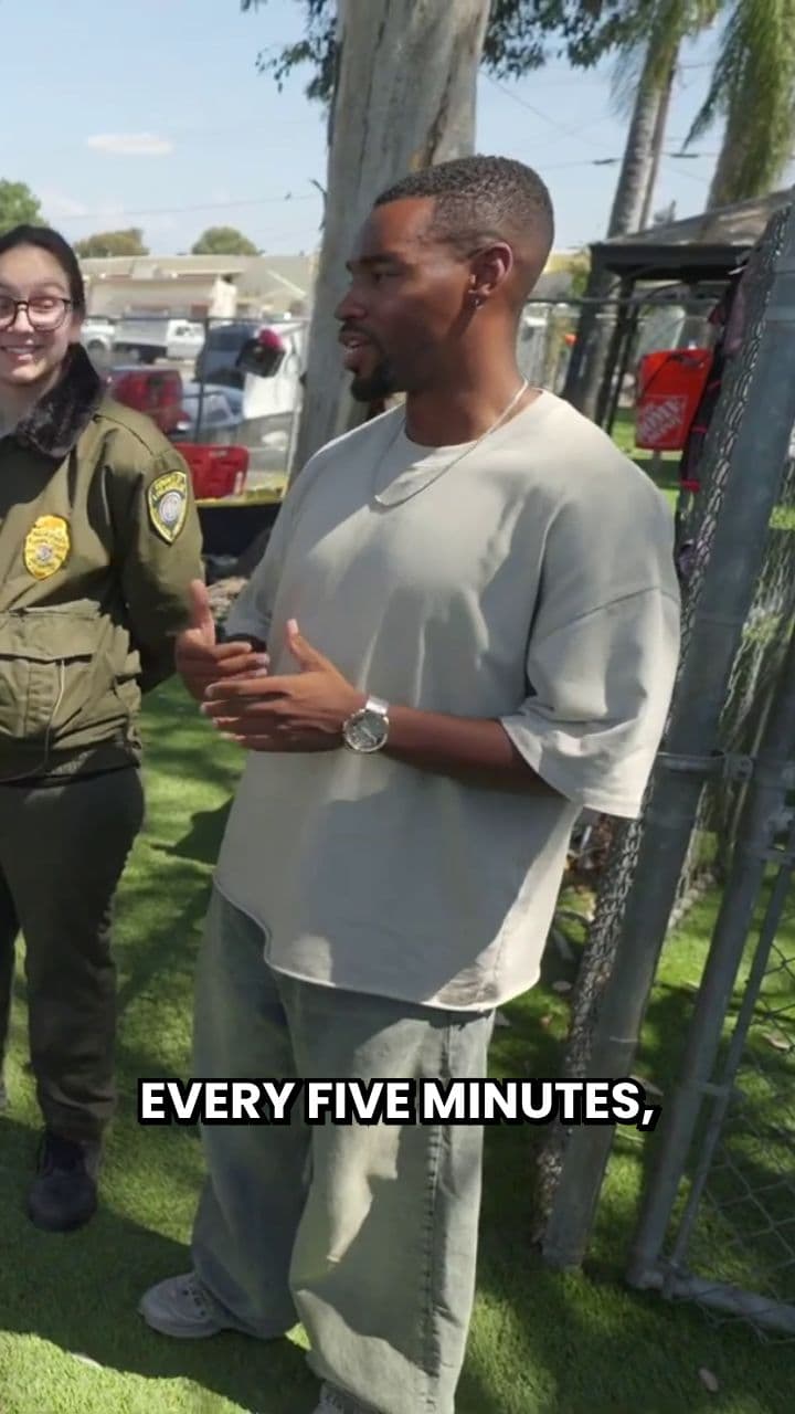 Saving 100 Dogs From Being Euthanized