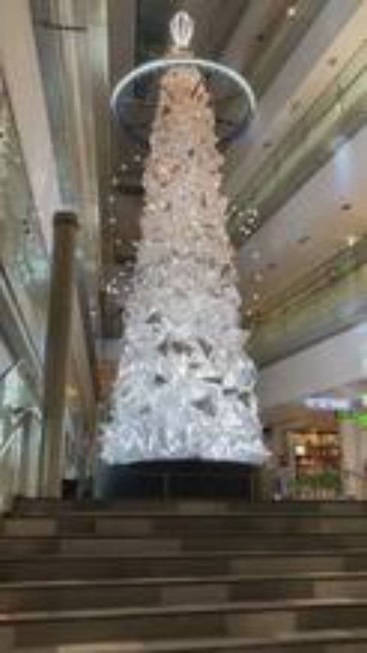 Dreaming of a White Christmas