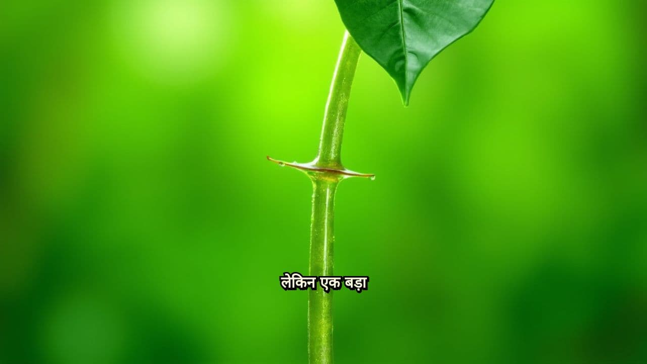 समस्या