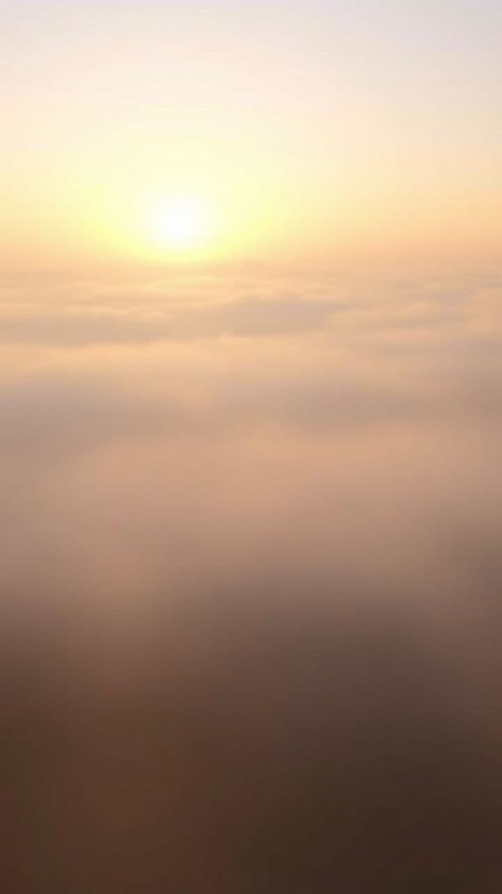 Туман и сердце