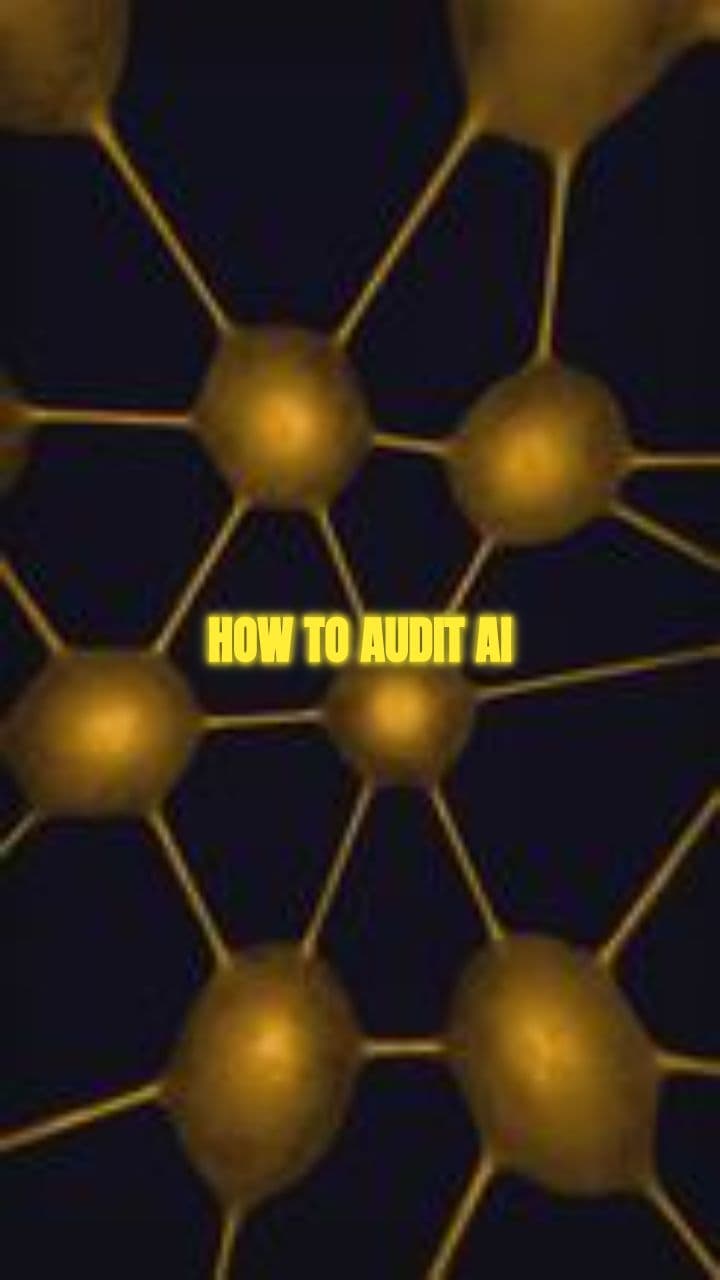 Auditing AI Systems: A New Approach