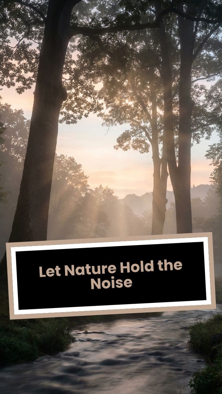 Let Nature Hold the Noise
