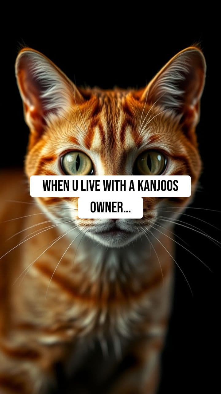 Life with a Stingy Owner