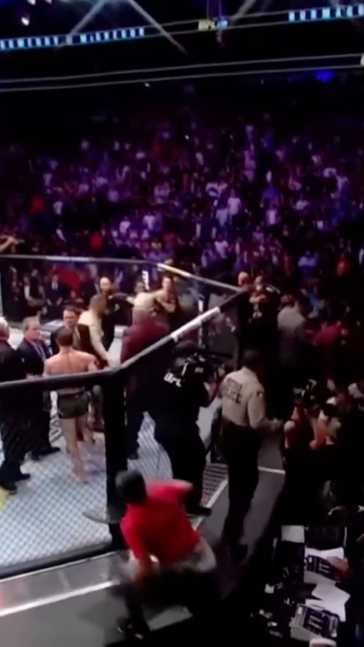 UFC Chaos: Khabib Jumps the Fence
