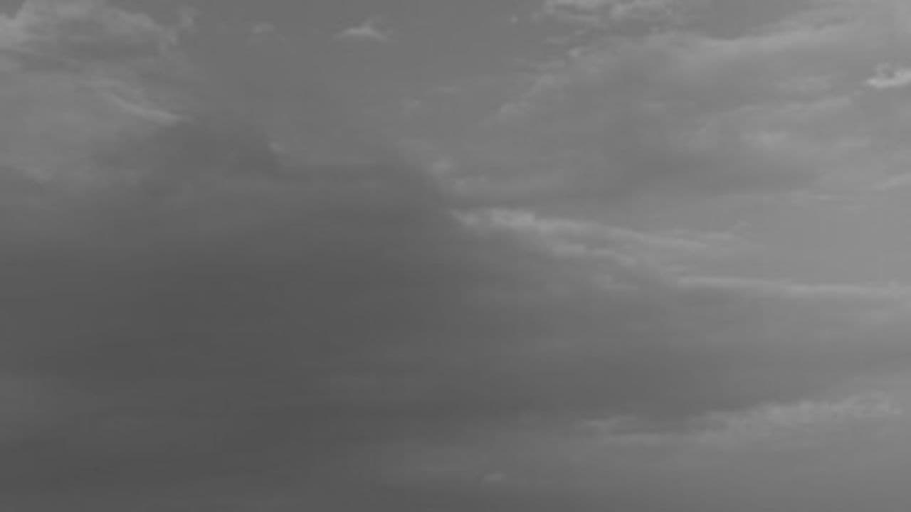 Constellation of Gratitude