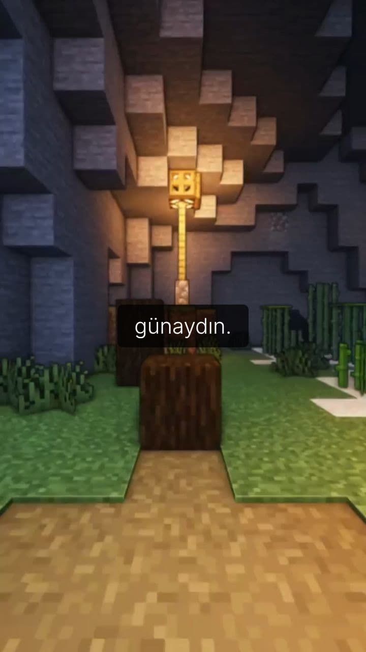 Korku Ormanında Kaçış