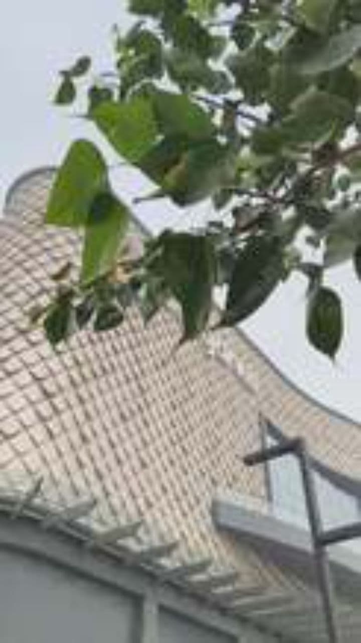 Dilli 6 Ke Svaad, Happy New Year