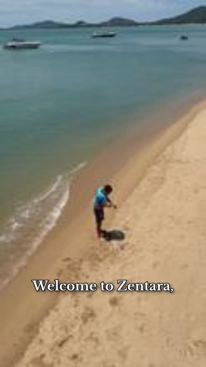 Empower Your Mind at Zentara