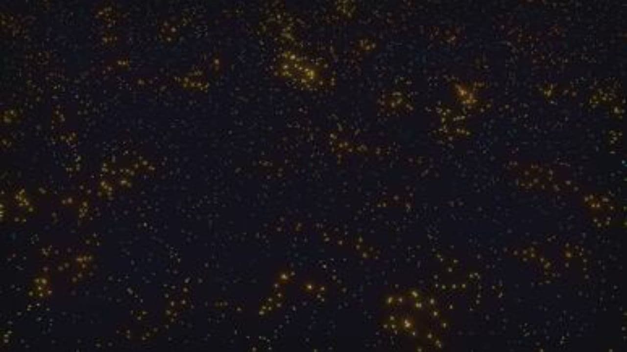 Quiet Truths About Earthquakes