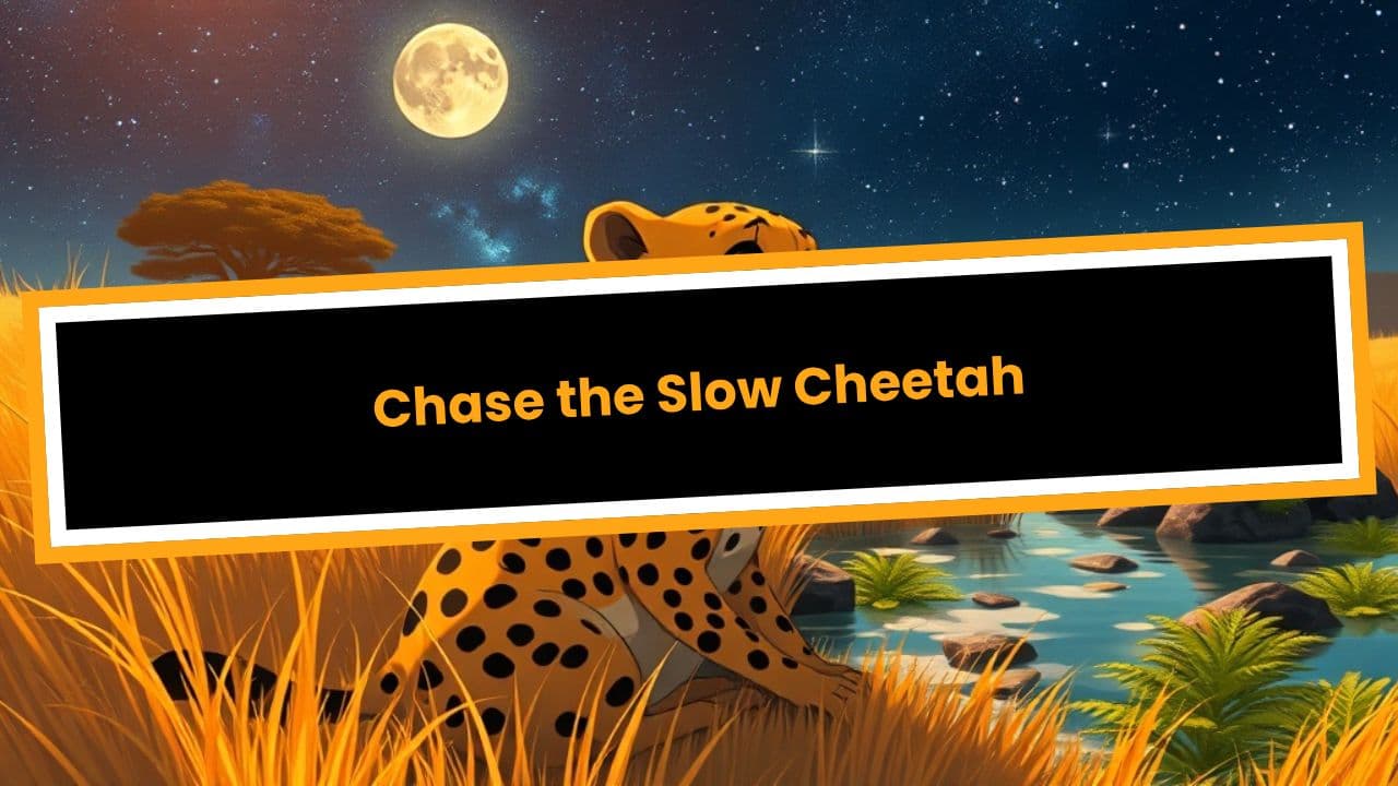 Chase the Slow Cheetah