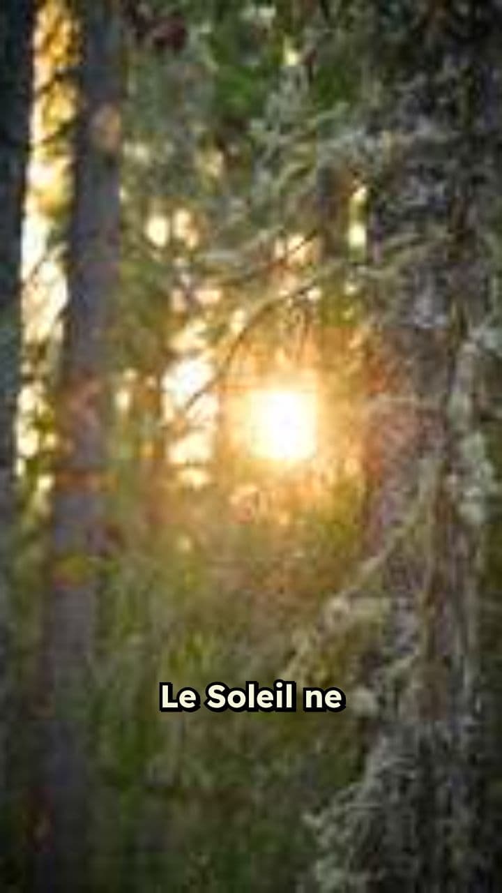 La Musique du Soleil