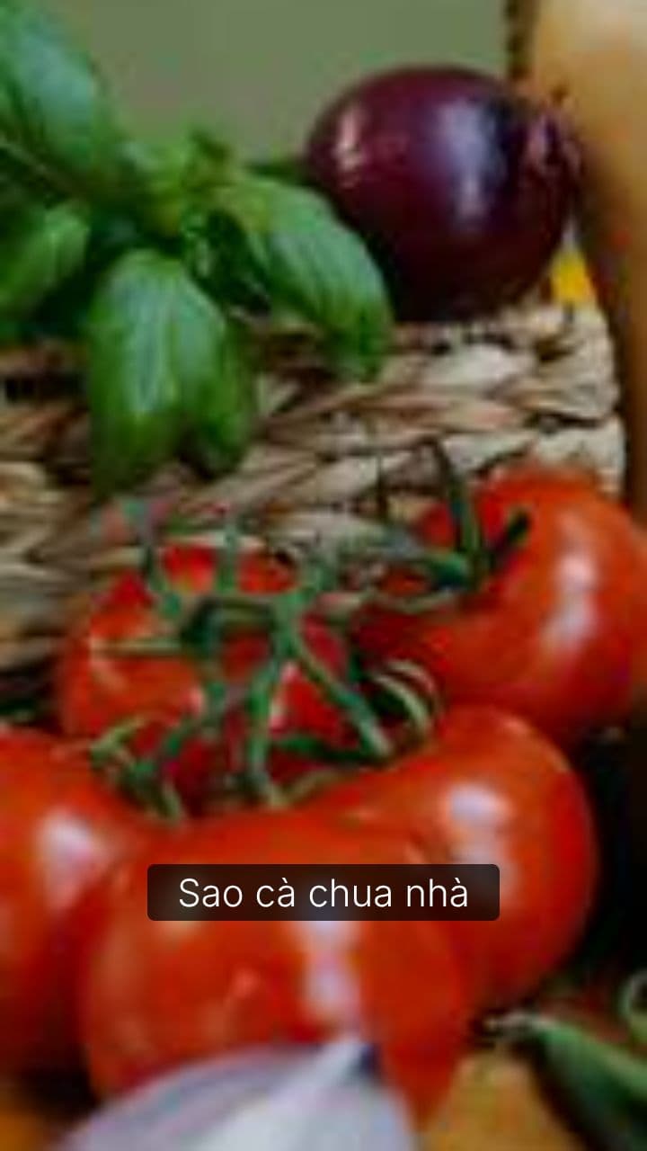 Bí quyết cà chua căng mọng, không nứt