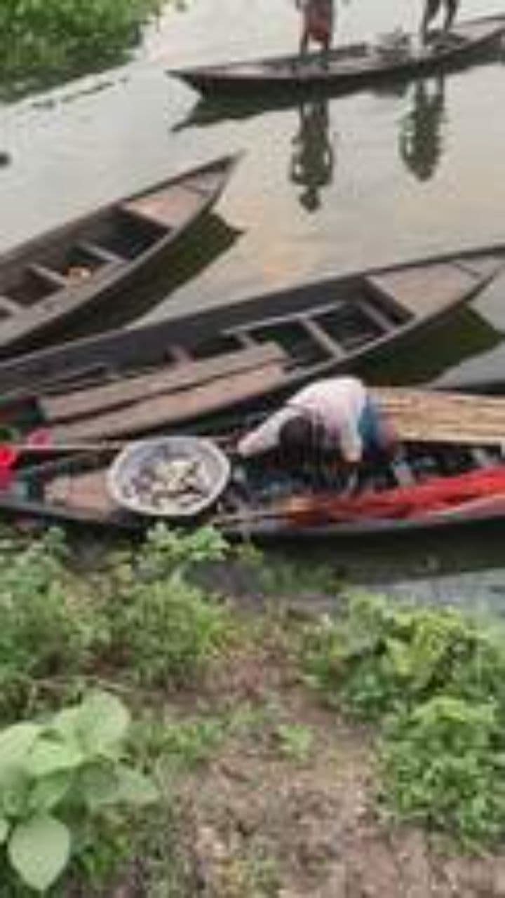 سونو کی نئی خصوصیات