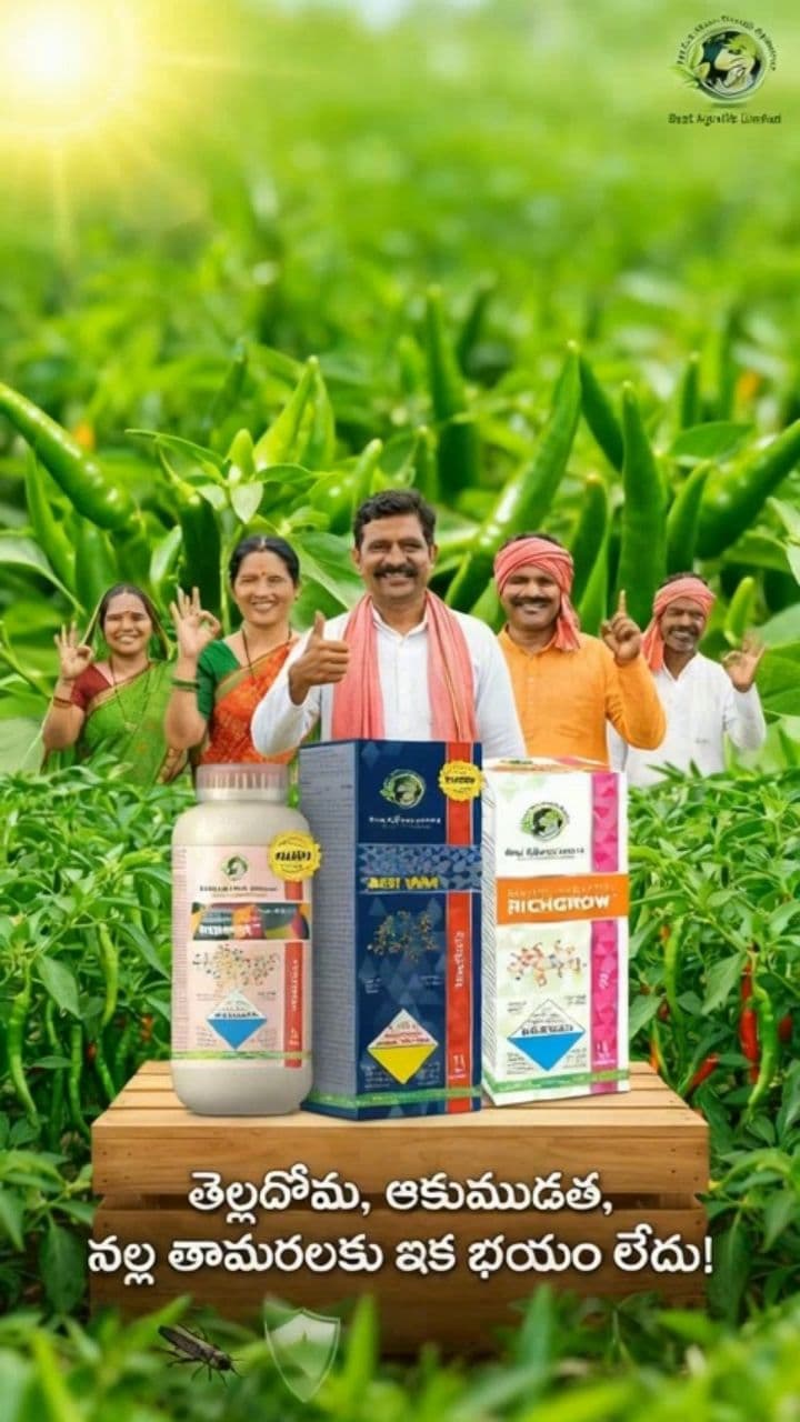 Image transform video