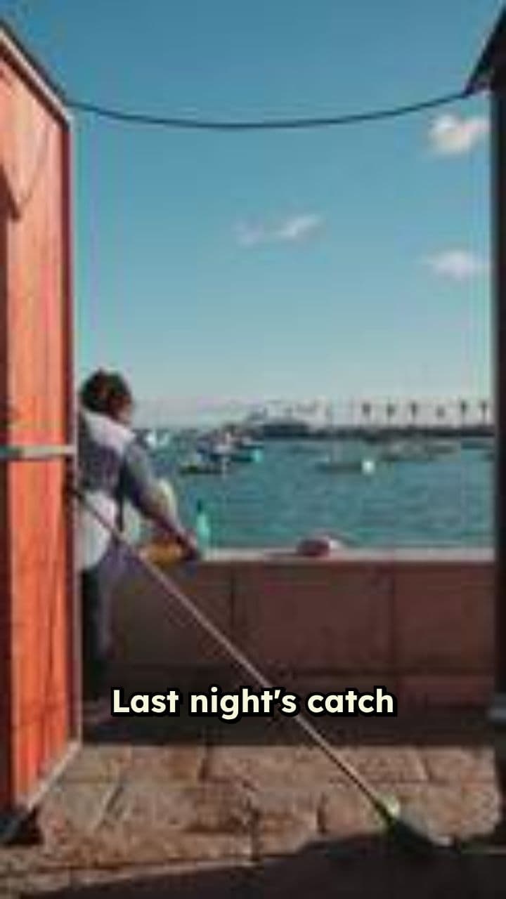 Morning at the Docks