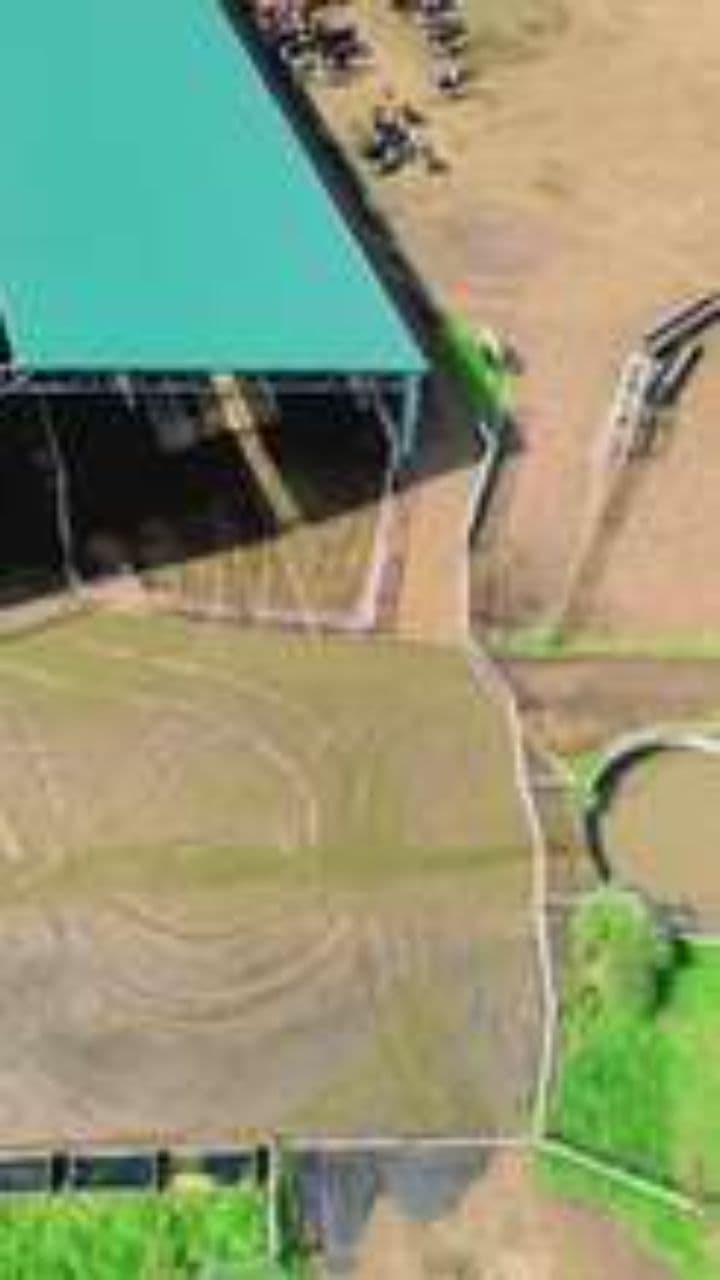 Whimsical Adventures in a Minecraft World