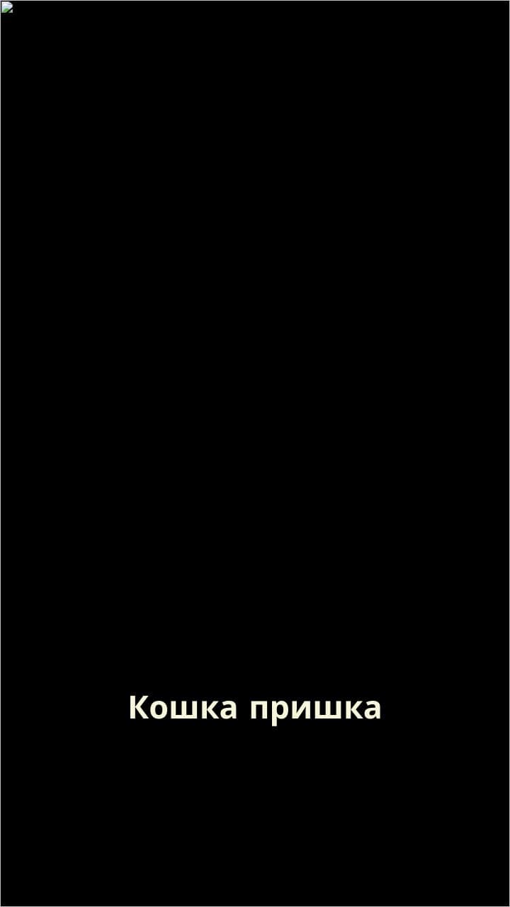 Месть кошки за измену мужа