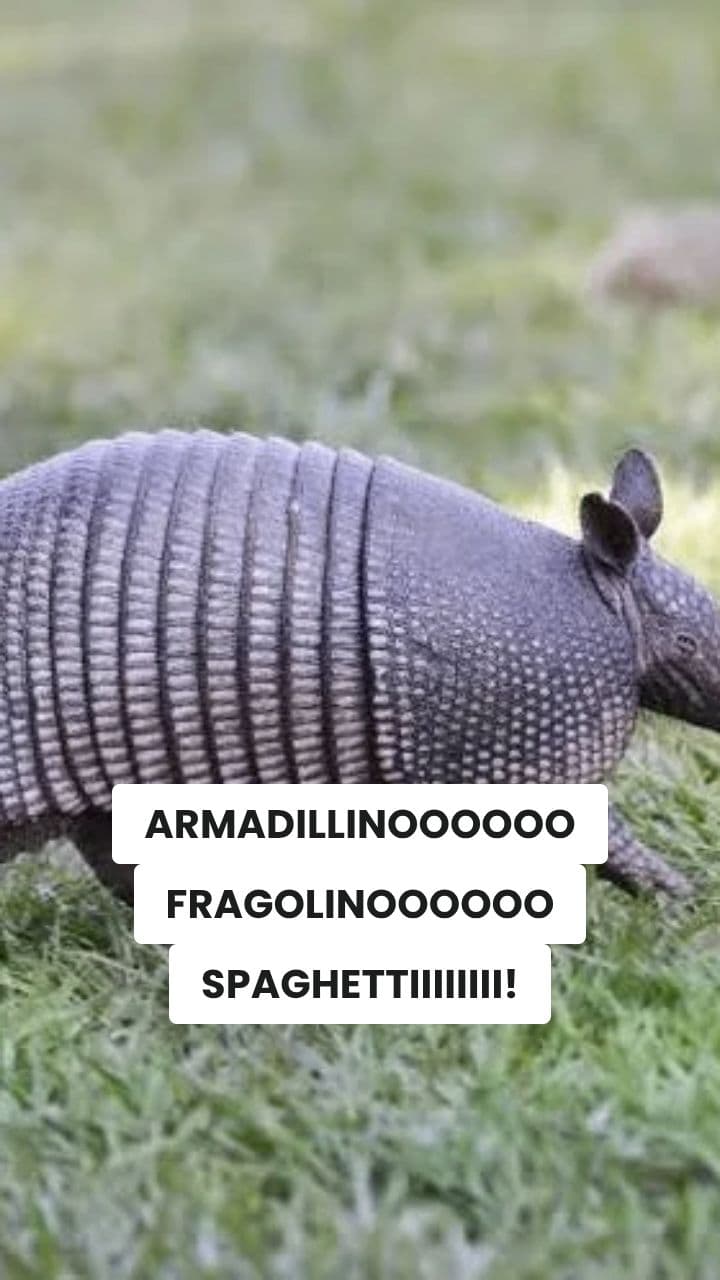 Armadillino Fragolino Brainrot