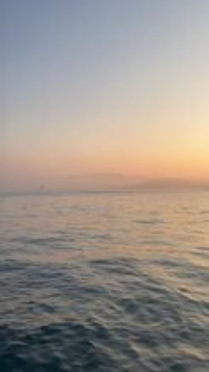 Step by Step to Recovery