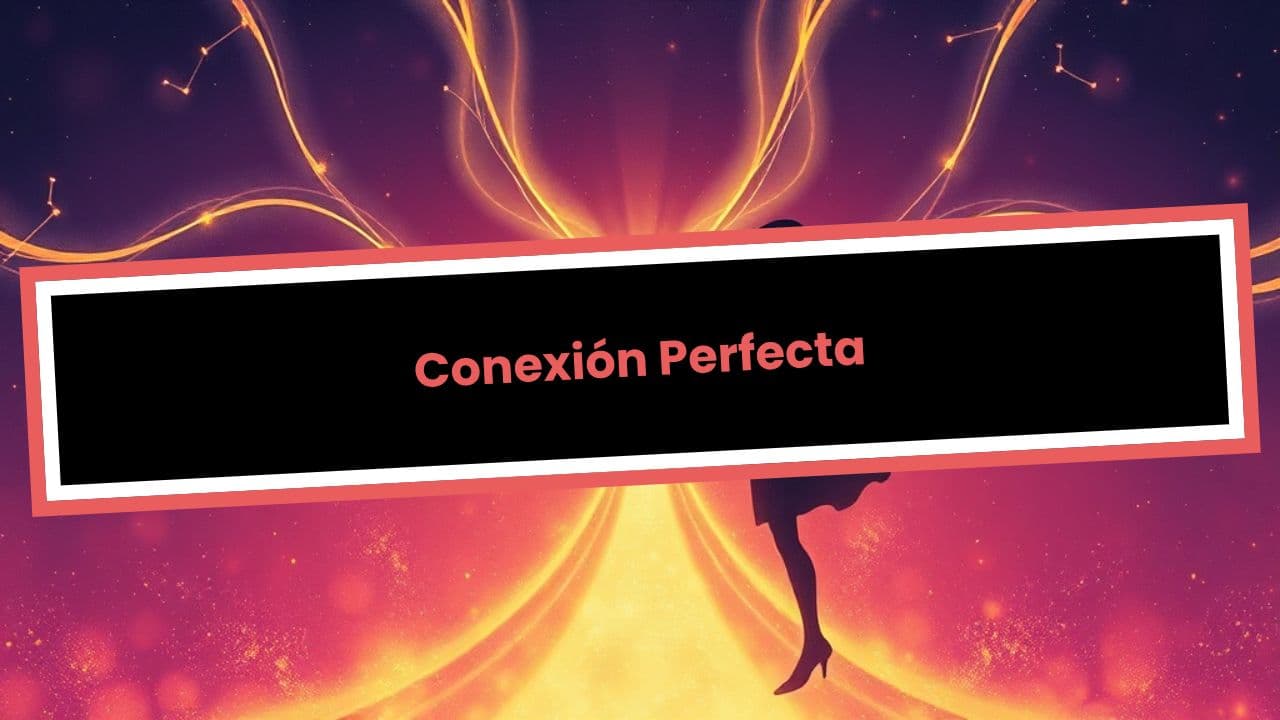 Conexión Perfecta