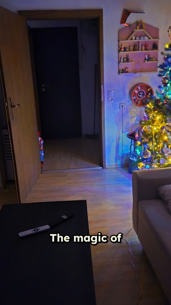 A Magical Holiday Surprise