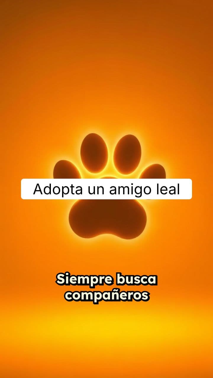Adopta un Perro
