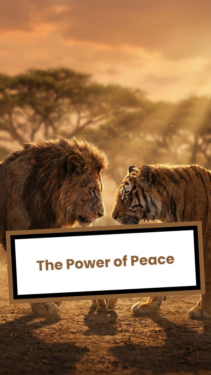 The Power of Peace