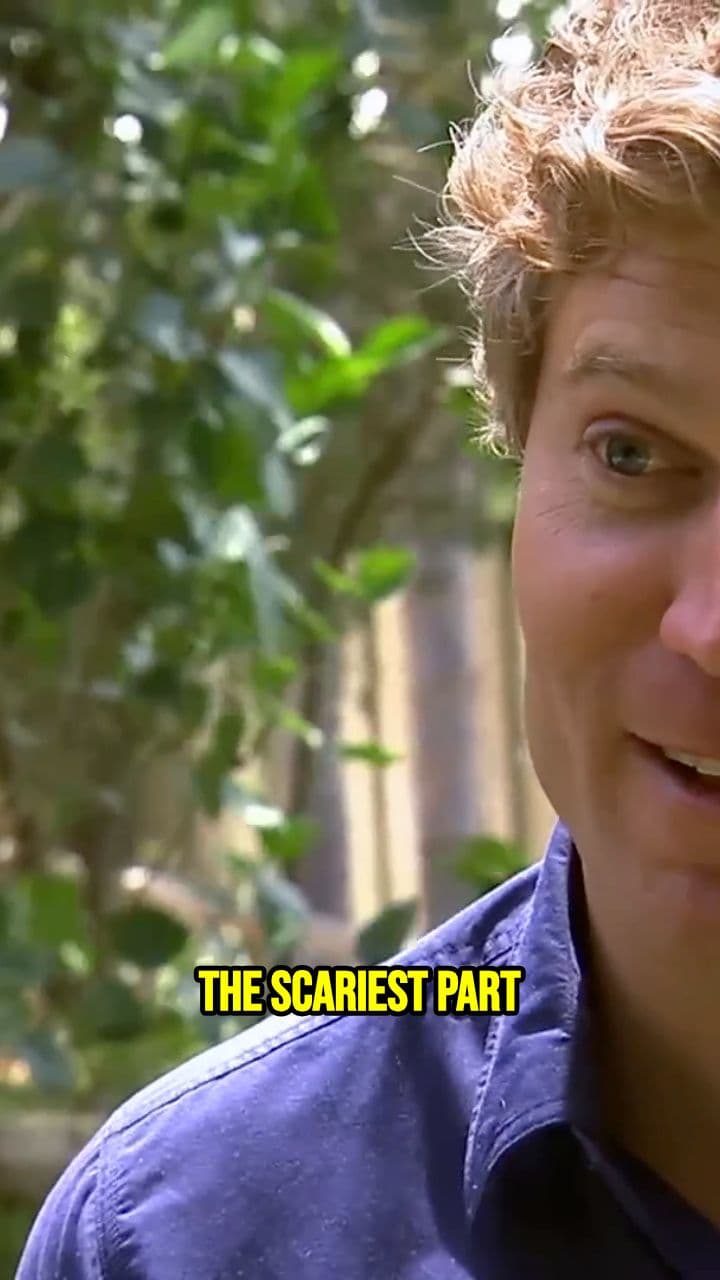 The Dangers of Anesthetizing a Tiger